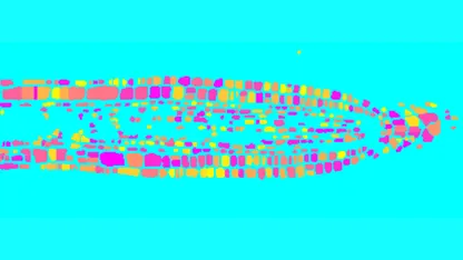 Plant Illumination Image Analysis